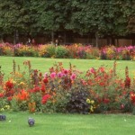 Jardin des Tuileries, Paris