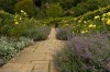 Les jardins du Kent : Chartwell